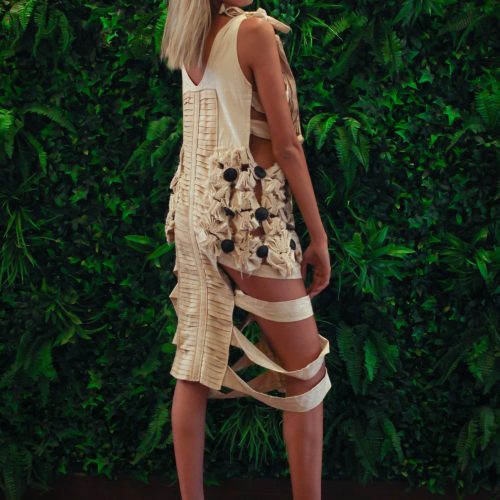 42677565_1876637662372060_7783196032795410432_n