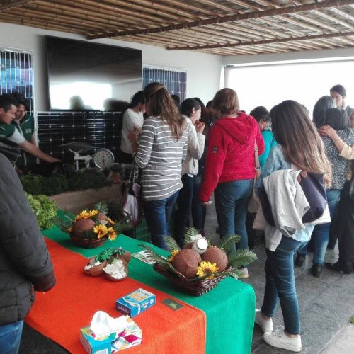 43738842_1860784907302482_3193045418476830720_n