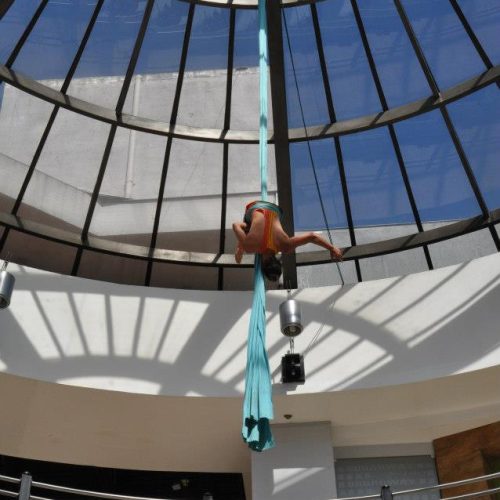 505204177_9875690559145170_1210738627735091420_n